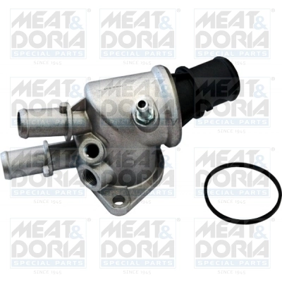 Thermostat, coolant